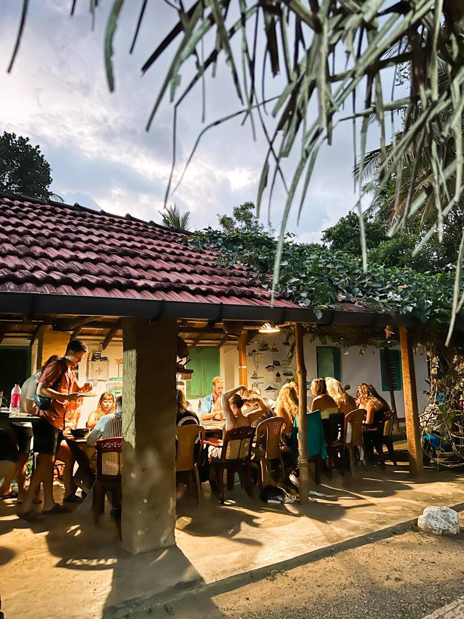 Lazy Monkey Surfhostel - Sri Lanka Dikwella Εξωτερικό φωτογραφία