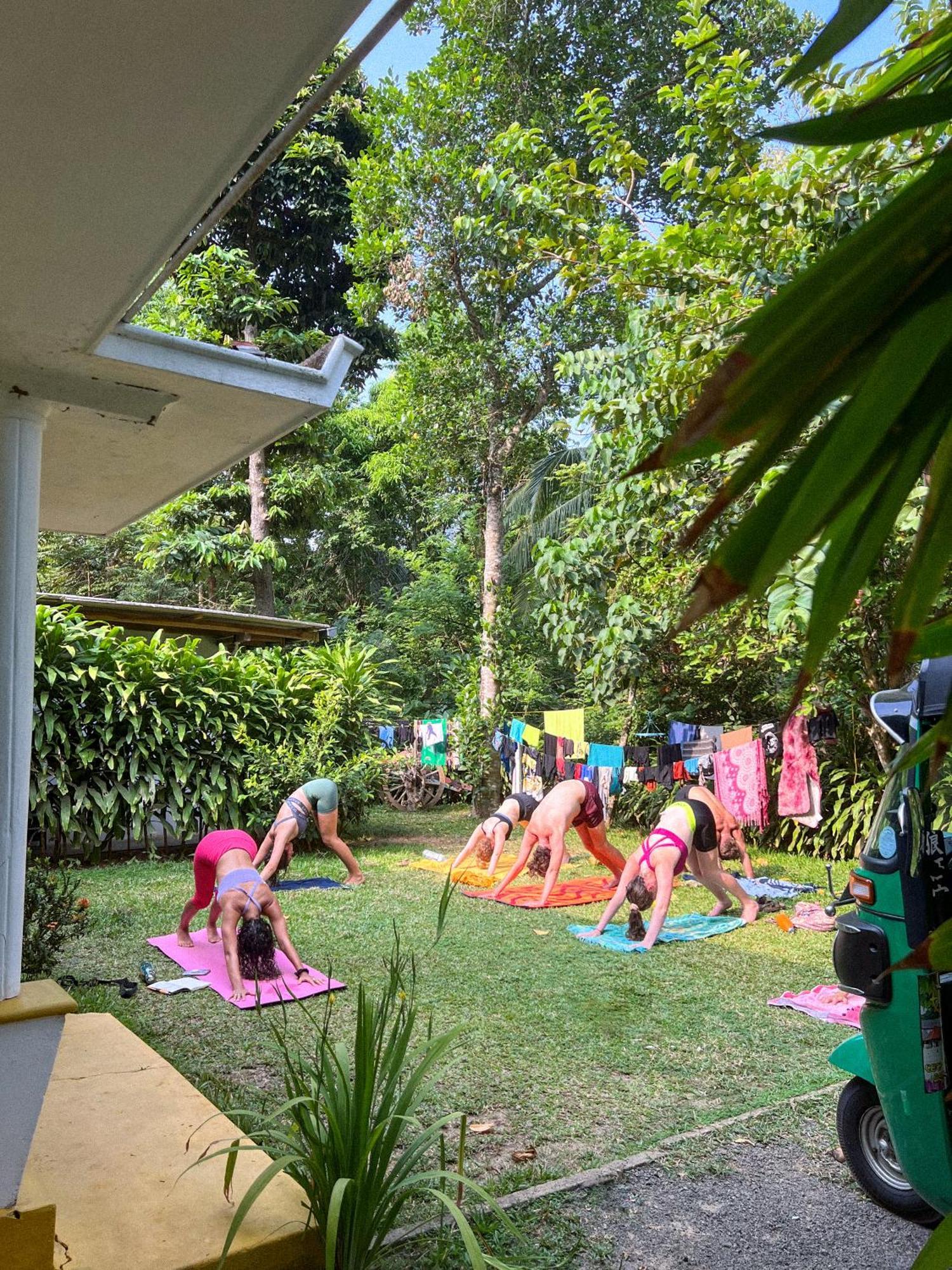 Lazy Monkey Surfhostel - Sri Lanka Dikwella Εξωτερικό φωτογραφία
