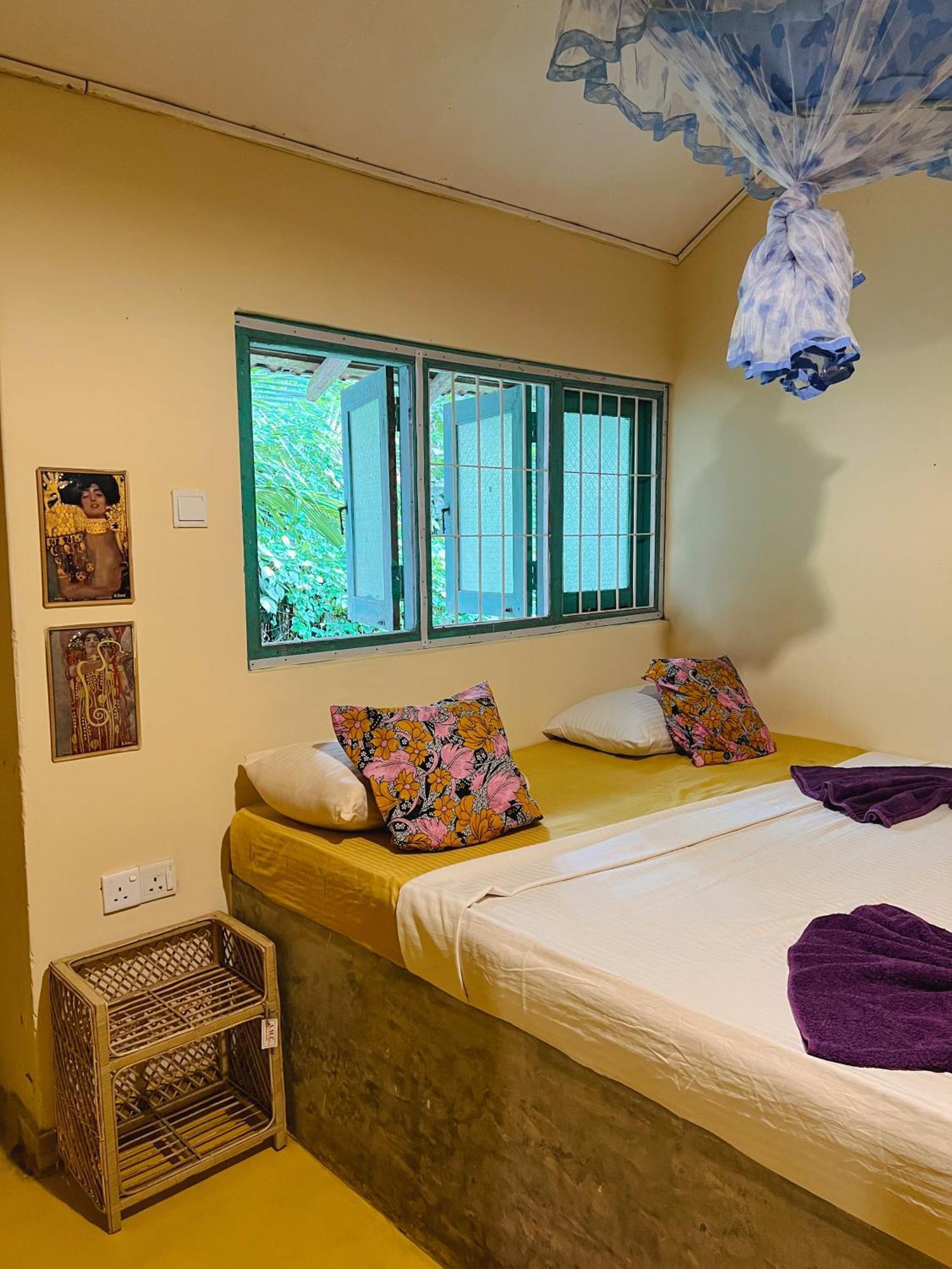 Lazy Monkey Surfhostel - Sri Lanka Dikwella Εξωτερικό φωτογραφία