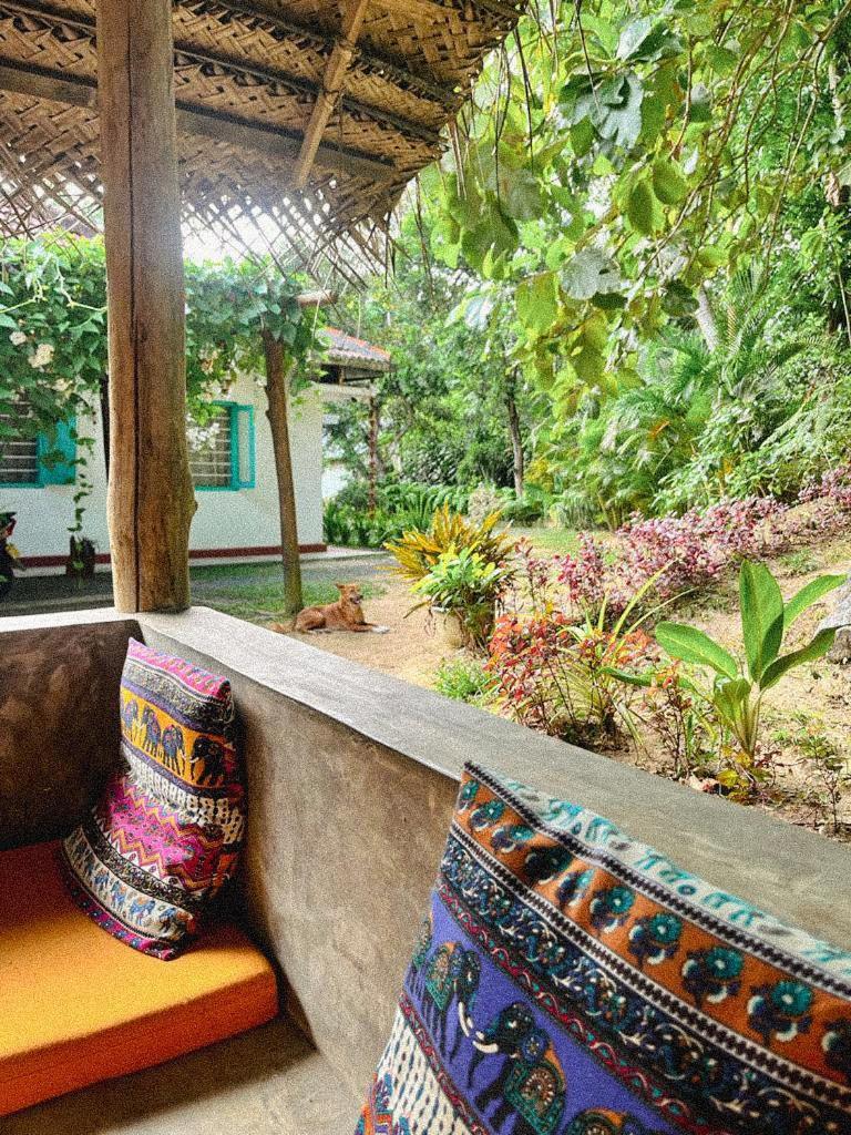 Lazy Monkey Surfhostel - Sri Lanka Dikwella Εξωτερικό φωτογραφία