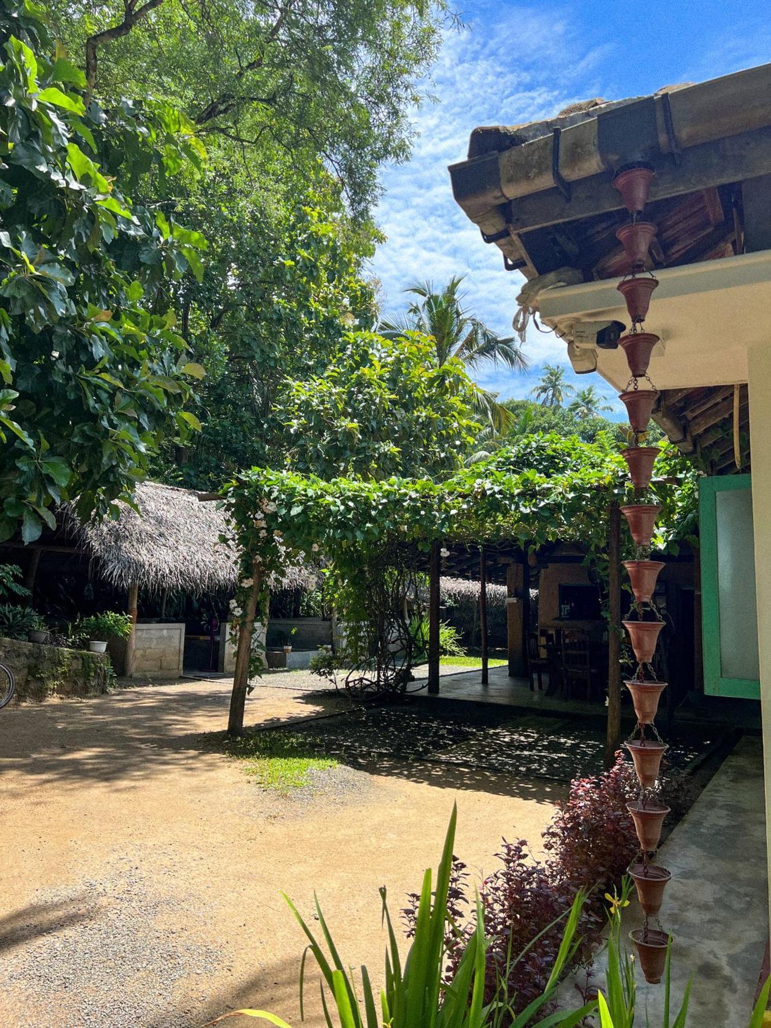 Lazy Monkey Surfhostel - Sri Lanka Dikwella Εξωτερικό φωτογραφία