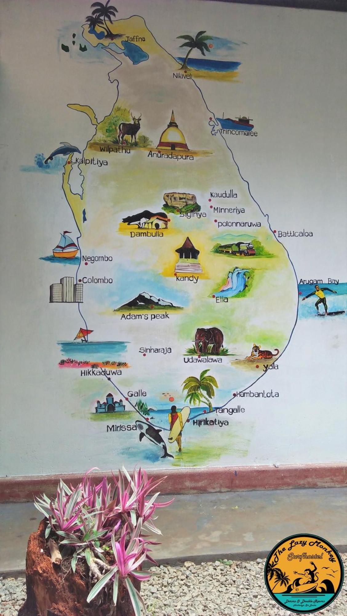 Lazy Monkey Surfhostel - Sri Lanka Dikwella Εξωτερικό φωτογραφία