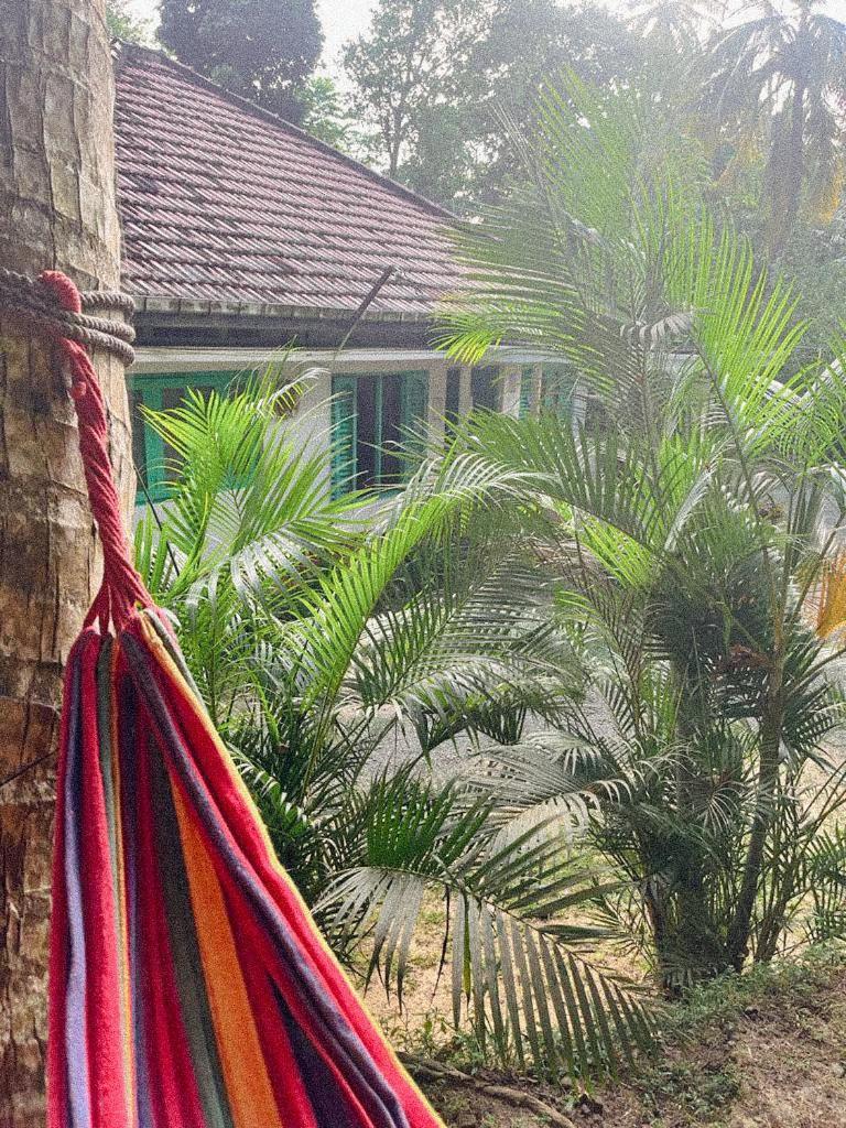 Lazy Monkey Surfhostel - Sri Lanka Dikwella Εξωτερικό φωτογραφία