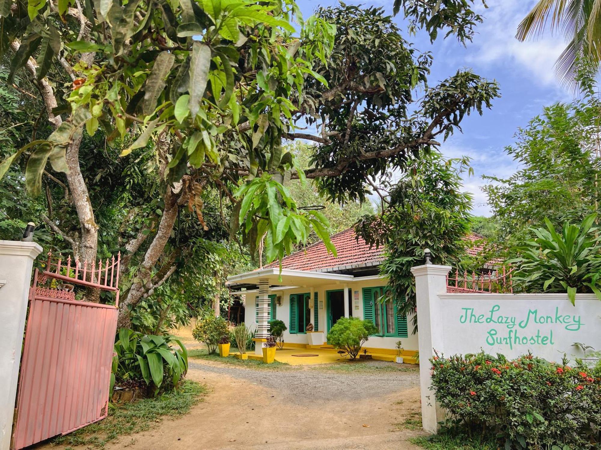Lazy Monkey Surfhostel - Sri Lanka Dikwella Εξωτερικό φωτογραφία