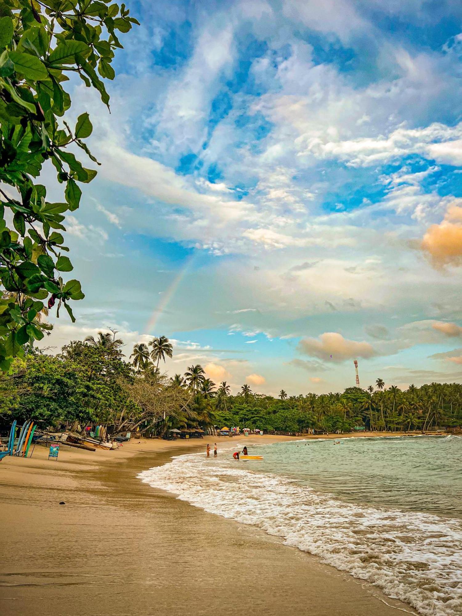 Lazy Monkey Surfhostel - Sri Lanka Dikwella Εξωτερικό φωτογραφία